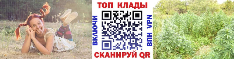 Магазины продажи наркотиков Мураши Alpha PVP  МЕГА ссылка  Амфетамин  Гашиш  Мефедрон 