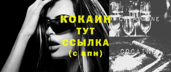 ПСИЛОЦИБИНОВЫЕ ГРИБЫ Арсеньев