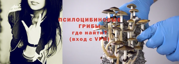 ПСИЛОЦИБИНОВЫЕ ГРИБЫ Арсеньев