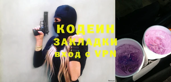 ПСИЛОЦИБИНОВЫЕ ГРИБЫ Арсеньев