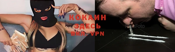 стафф Армянск