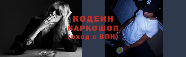 ПСИЛОЦИБИНОВЫЕ ГРИБЫ Арсеньев