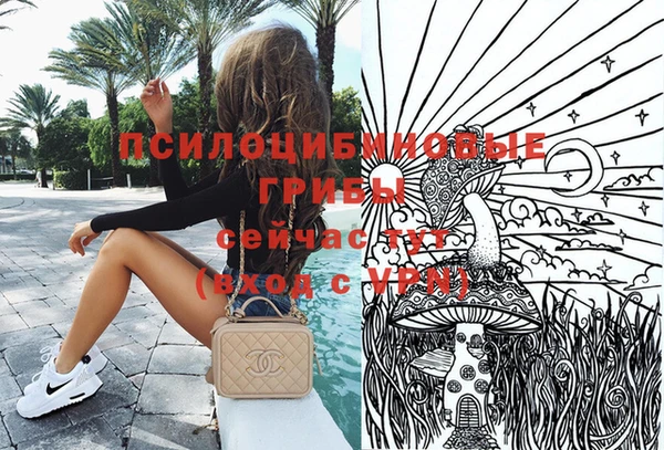 стафф Армянск