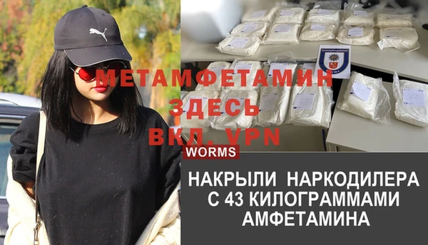 ПСИЛОЦИБИНОВЫЕ ГРИБЫ Арсеньев