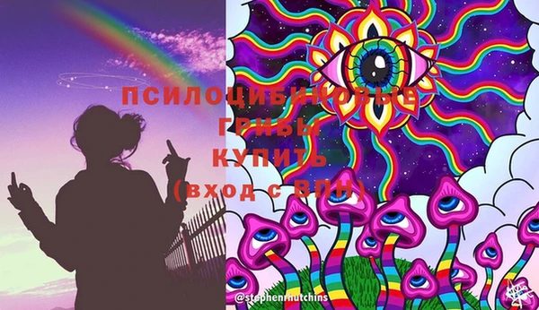 ПСИЛОЦИБИНОВЫЕ ГРИБЫ Арсеньев